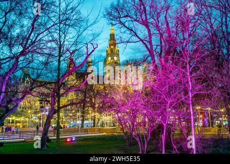 vienna, austria, 7 febbraio 2024, alberi illuminati sul pattinaggio su ghiaccio eistraum di fronte al municipio *** wien, Österreich, 7 febbraio 2024, beleuchtete bäume am eislaufplatz eistraum vor dem rathaus Copyright: XW.Simlingerx Foto Stock