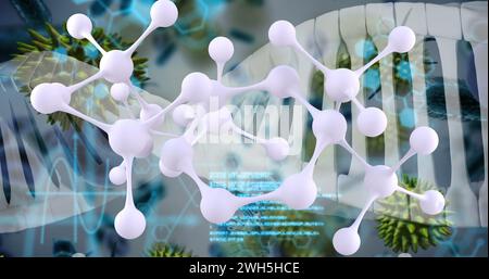 Immagine dell'elaborazione dei dati medici su sfondo bianco Foto Stock