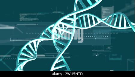 Immagine di filamenti di dna che girano con elaborazione dei dati su sfondo verde Foto Stock