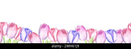 Bordo trasparente di tulipani rosa e viola ad acquerello . Profilo floreale della primavera di Pasqua isolato su sfondo bianco. Illustrazione disegnata a mano. Per il Web Foto Stock