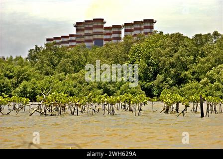 La vista di un'area di riabilitazione delle mangrovie, sullo sfondo della foresta di mangrovie e della centrale elettrica di Muara Tawar, è fotografata dalle acque costiere della reggenza di Bekasi a Giava Occidentale, Indonesia. Foto Stock