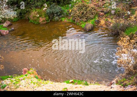 Un ambiente tranquillo caratterizzato da un piccolo laghetto con una dolce cascata, che crea un paesaggio sereno e tranquillo circondato da rocce e natura Foto Stock
