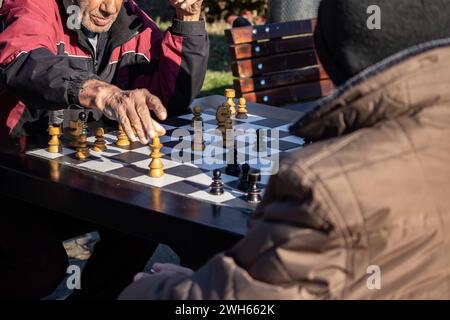 Anziani pensionati che giocano a statuette a scacchi nel parco pubblico di Belgrado, bella giornata di sole Foto Stock