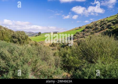 Paesaggio della Tunisia settentrionale - regione del Sejnene - Tunisia Foto Stock