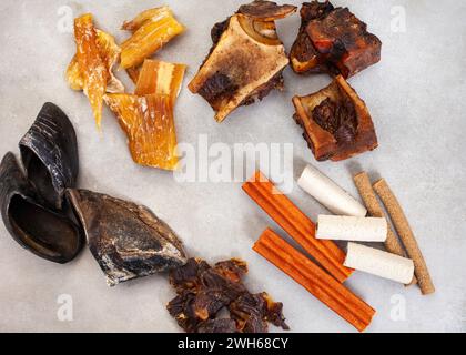 collezione di vari dolcetti per cani e masticazioni su una superficie grigia a chiazze con spazio per copiare Foto Stock