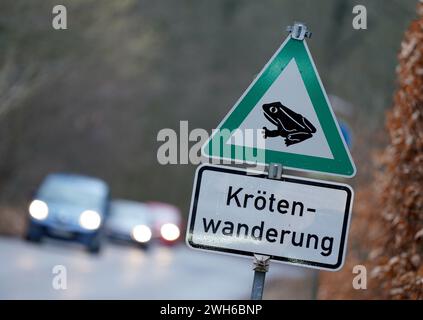 8 febbraio 2024, Amburgo: Un cartello per la migrazione dei rospi può essere visto sulla strada Niendorfer Gehege vicino al doppio stagno. I volontari dell'Unione tedesca per la conservazione della natura e della biodiversità (Nabu) hanno eretto una recinzione di protezione anfibia di fronte al doppio stagno. Gli anfibi iniziano nuovamente la migrazione verso le loro acque riproduttive alla fine di febbraio. Un secchio viene scavato ogni 5-10 metri davanti alle recinzioni protettive in cui gli anfibi cadono. Gli animali vengono quindi trasportati quotidianamente nelle acque riproduttrici sull'altro lato della strada. Foto: Marcus Brandt/dpa Foto Stock