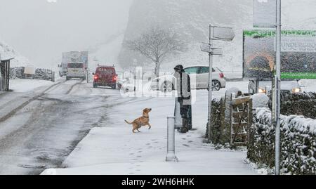 Hope Valley, Peak District, Derbyshire, 8 febbraio 2024. Un cane si gode la neve questa mattina su Arthurs Way nella Hope Valley. Crediti: Michael Jamison/Alamy Live News Foto Stock