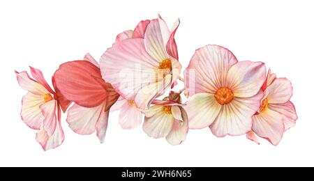 Fiori rosa acquerello. Bouquet orizzontale con grandi petali rossi. Colorata ghirlanda tenera isolata su bianco. Realistica illustrazione floreale botanica Foto Stock