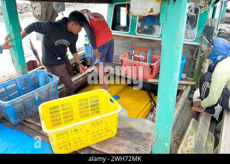 Lampung, Indonesia, 7 ottobre 2022: I pescatori o i membri dell'equipaggio selezionano il pesce in un cesto che è stato appena catturato e sarà pesato. Foto Stock