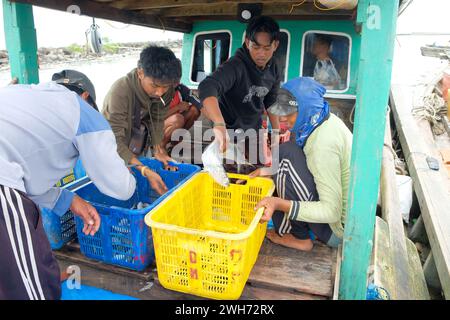 Lampung, Indonesia, 7 ottobre 2022: I pescatori o i membri dell'equipaggio selezionano il pesce in un cesto che è stato appena catturato e sarà pesato. Foto Stock