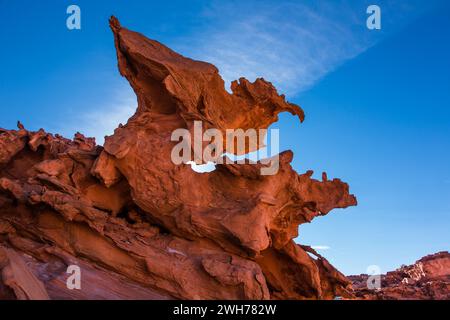 Fragili formazioni di arenaria azteca erose a Little Finland, Gold Butte National Monument, Nevada. Foto Stock