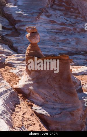 Formazioni di arenaria azteca colorate erose a Little Finland, Gold Butte National Monument, Nevada. Foto Stock