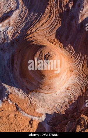 Formazioni di arenaria azteca colorate erose a Little Finland, Gold Butte National Monument, Nevada. Foto Stock