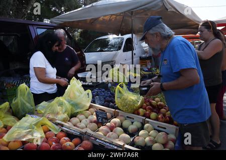 Insaccare frutta per il cliente al mercato Vouliagmeni Atene Attica Grecia Foto Stock