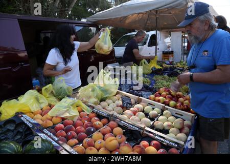 Insaccare frutta per il cliente al mercato Vouliagmeni Atene Attica Grecia Foto Stock