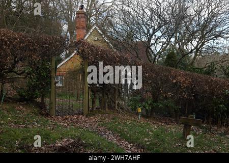 Friday Street sul versante nord di Leith Hill Copse Cottage e Garden Surrey, Inghilterra Foto Stock