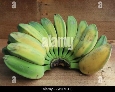 Le banane Kepok sono molto amido, adatte per preparare banane fritte, torte umide e sono deliziose da mangiare subito Foto Stock