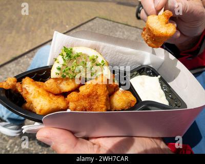 Kibbeling, un popolare spuntino olandese a base di pepite fritte servite con una fetta di limone e maionese su un vassoio di cartone, Paesi Bassi Foto Stock