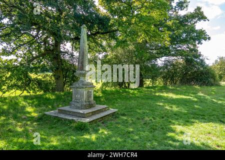 obelisco a Hinton Ampner, Hampshire, Inghilterra Foto Stock