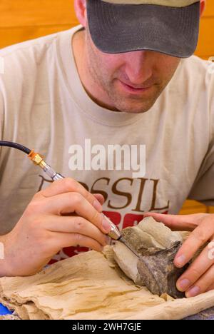 Fossil Preparation, Willamette Agate & Mineral Society Rock & Gem Show, Polk County Fairgrounds, Oregon Foto Stock