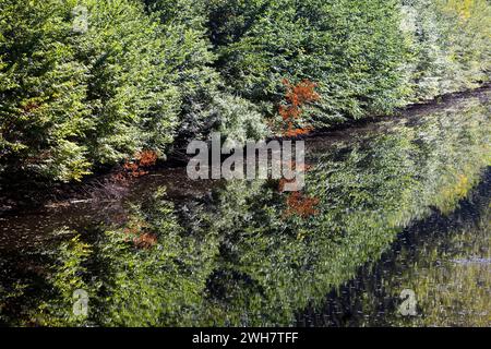 Schipdonk Canal vicino a Moerkerke, Schipdonkvaart, Damme, Fiandre, Belgio, Europa Foto Stock