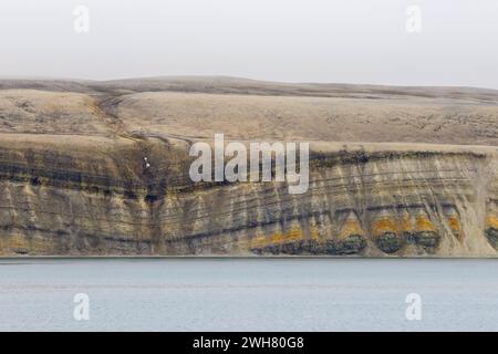 Scogliera marina che mostra strati di pietra calcarea e arenaria del periodo Permiano lungo lo stretto di Hinlopen / Hinlopenstretet, Spitsbergen / Svalbard, Norvegia Foto Stock