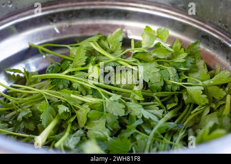 Foglie di prezzemolo verde in un piatto da vicino Foto Stock