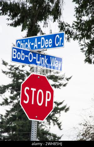 Indicazioni stradali per Chick-A-Dee Crescent e Bob-o-Link Way a Nanaimo, British Columbia, Canada Foto Stock