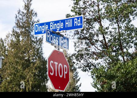 Dingle Bingle Hill Road, insegna a Nanaimo, British Columbia, Canada Foto Stock