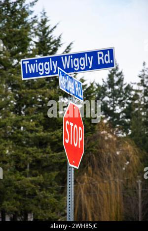 Cartello stradale Twiggly Wiggly Road a Nanaimo, Columbia Britannica, Canada Foto Stock