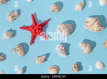 Motivo estivo alla luce del sole alla moda realizzato con conchiglie di mare e stelle marine rosse su sfondo azzurro. Concetto estivo minimalista. Foto Stock