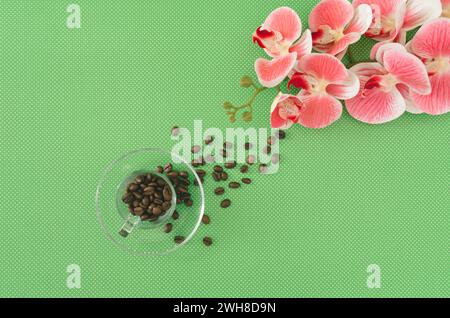 Layout primaverile creativo con tazza da caffè, chicchi di caffè tostati e bellissimo fiore di orchidea su sfondo verde. Concetto minimale. Un'idea di caffè alla moda Foto Stock