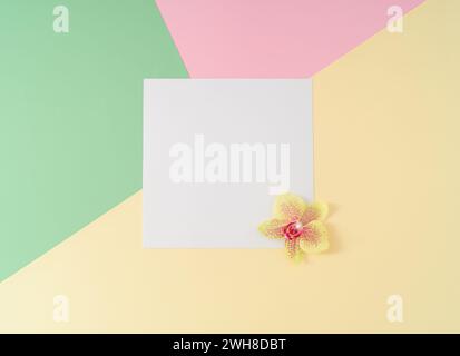 Composizione creativa realizzata con fiore di orchidea naturale e nota di carta bianca su sfondo geometrico astratto. Verde pastello, rosa e crema Foto Stock