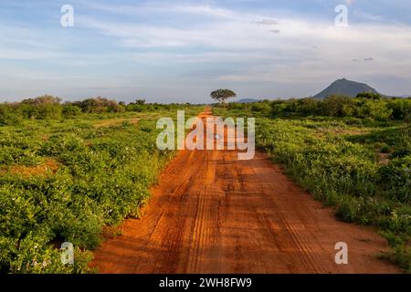 Una strada rossa polverosa nel parco nazionale di Tzavo, con vegetazione su entrambi i lati e un albero solitario e una montagna Foto Stock