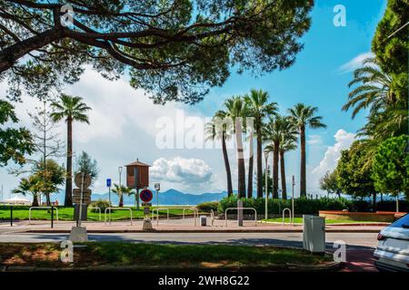 Fantastico parco nella parte sinistra della Croisette con pini e palme a Cannes . Auto nei parcheggi estivi: Le palme brillano nelle onde del sole! Su t Foto Stock