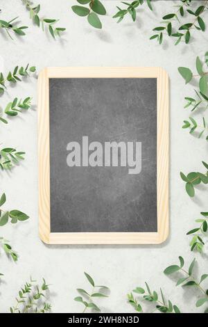 Telaio realizzato con rami di eucalipto e pannelli di gesso vuoti su fondo in cemento Foto Stock