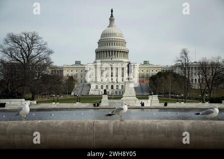 Washington, Stati Uniti. 8 febbraio 2024. Una vista generale del Campidoglio degli Stati Uniti, a Washington DC, giovedì 8 febbraio, 2024. (Graeme Sloan/Sipa USA) credito: SIPA USA/Alamy Live News Foto Stock