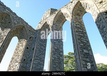 Sito monastico in rovina in Irlanda, edifici in rovina e colonne del monastero cistercense medievale a Inch Abbey Downpatrick Irlanda del Nord in estate. Foto Stock