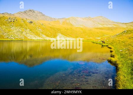 Piccolo lago di montagna incontaminato con cavalli su sentiero escursionistico a lago di roccia nera nel parco nazionale Lagodekhi.Hidden spot gemme in Georgia Foto Stock