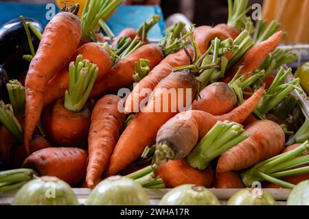 Radici di carote d'arancia fresche e biologiche sul mercato agricolo di Tenerife, Isole Canarie, Spagna, da vicino Foto Stock