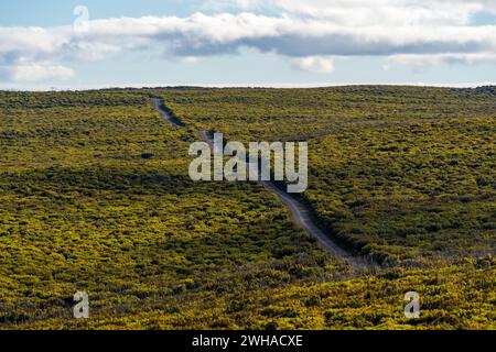 Strada che attraversa il Bush nel Flinders Chase National Park, Kangaroo Island, Australia meridionale Foto Stock