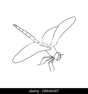 le linee vettoriali di lear e drago volano con sfondo bianco Illustrazione Vettoriale