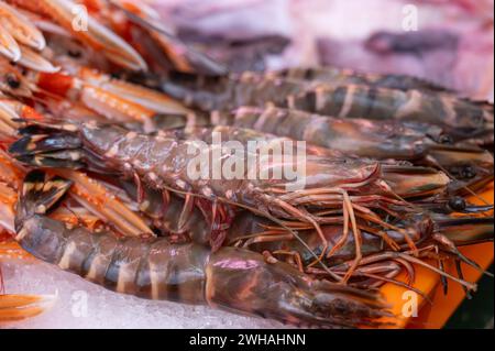 Assortimento giornaliero di gamberoni, gamberetti, pesci, conchiglie, molluschi sul ghiaccio sul mercato del pesce in Francia da vicino Foto Stock