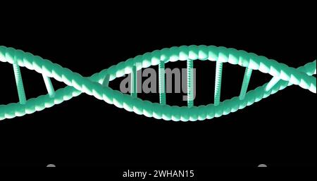 Immagine del filamento di dna che gira con spazio di copia su sfondo nero Foto Stock