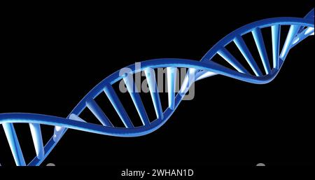 Immagine del filamento di dna che gira con spazio di copia su sfondo nero Foto Stock