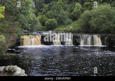 Autunno, cascate Wain Wath Force, River Swale, Swaledale; Yorkshire Dales National Park, Inghilterra, Regno Unito Foto Stock