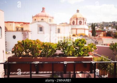 Piante succulente sul balcone con un vecchio edificio spagnolo sullo sfondo Foto Stock