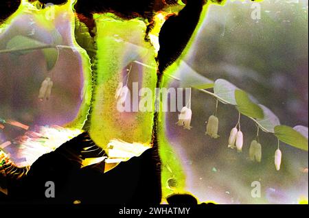 Creative Abstract Experimental con pattern inaspettati Foto Stock