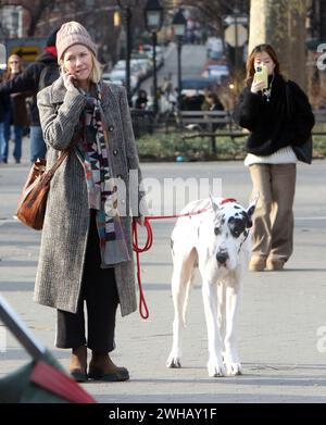 New York, New York, Stati Uniti. 8 febbraio 2024. Naomi Watts sul set del nuovo film "The Friend" l'8 febbraio 2024 a New York. Credito: RW/Media Punch/Alamy Live News Foto Stock