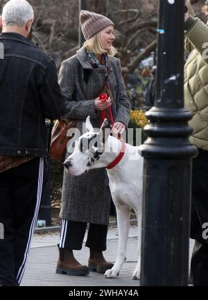 New York, New York, Stati Uniti. 8 febbraio 2024. Naomi Watts sul set del nuovo film "The Friend" l'8 febbraio 2024 a New York. Credito: RW/Media Punch/Alamy Live News Foto Stock